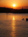 P1466375