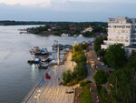 P1466442