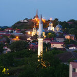 P1466454