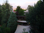 P1466590