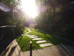 P1466595