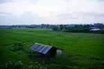 DSC09421