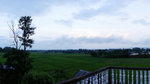 DSC09434