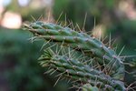 IMG_3739