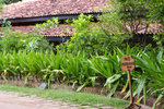 IMGP6363