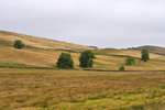P1188618