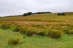 P1188626