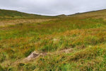 P1188629