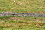 P1188632