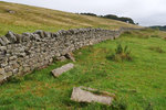 P1188641