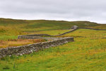 P1188645