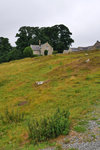 P1188659