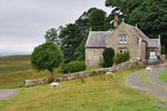P1188668
