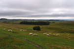 P1188680