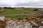 P1188686