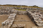 P1188694