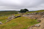 P1188695