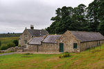 P1188761