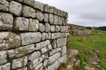 P1188768