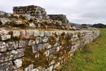 P1188770