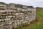 P1188772