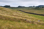 P1188789