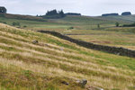 P1188791