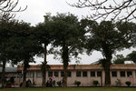 DD4W0139