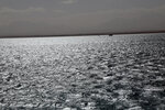 4X0A0522