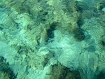 IMG_0757