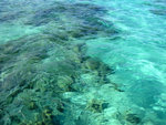 IMG_0760
