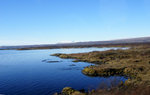 DSC07304