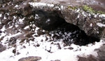 DSC07829