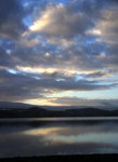 DSC07907