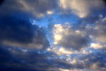 DSC07920