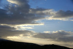 DSC07992