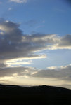 DSC07994