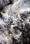 DSC08039