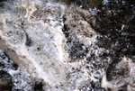 DSC08040
