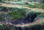 DSC08078