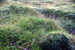 DSC08079