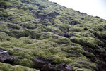 DSC08138