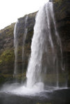 DSC07733