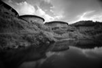 IMG_9481