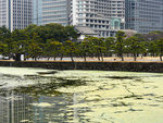 P1020146