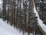 P1660345