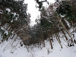 P1660355