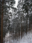 P1660367