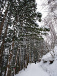 P1660369