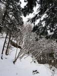 P1660375